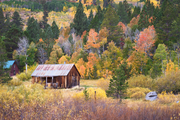 Rustic barn with fall colors