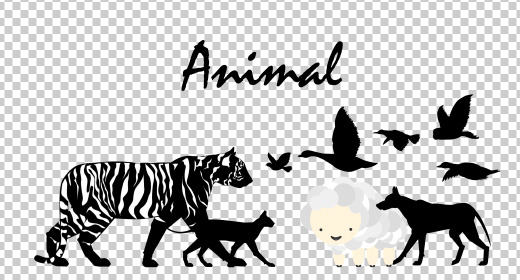 Animal