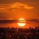 Sunset - VideoHive Item for Sale