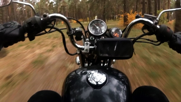 Biker on Chopper Rides Through the Autumn Forest