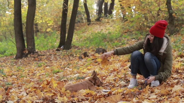 Beautiful Woman with Dog Playing in Autumn Park alt