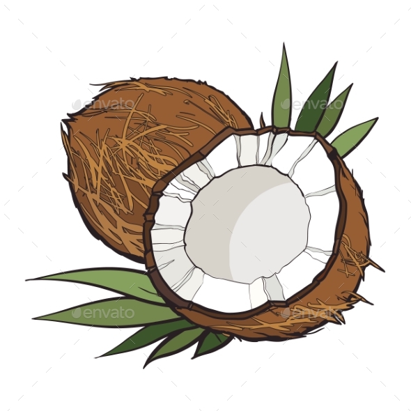 GraphicRiver Coconut Isolated on White Background 20904831 GraphicRiver Coconut Isolated on White Background 20904831