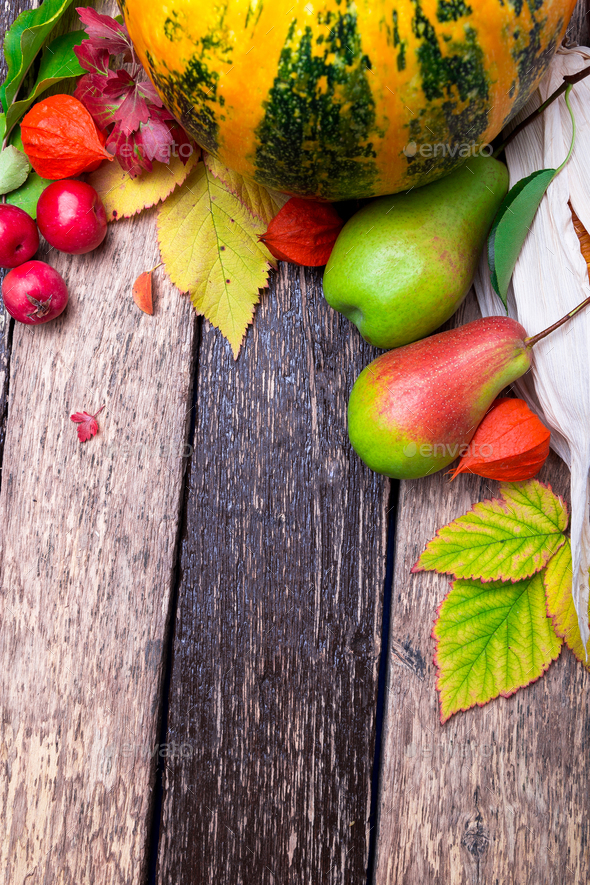 Thanksgiving background with autumn fruits - Stock Photo - Images