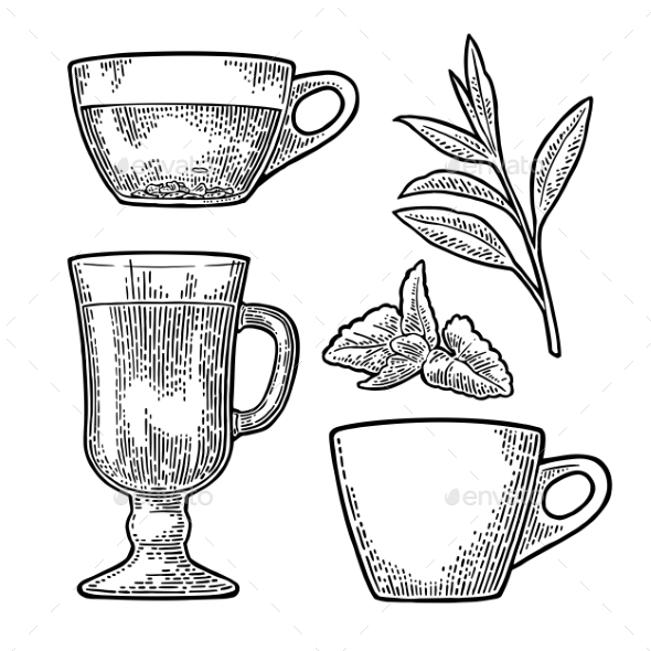Cup Wit Tea and Branch with Leaves - Flowers & Plants Nature