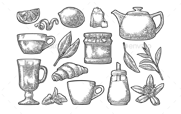 Cup with Tea and Branch with Leaves - Flowers & Plants Nature