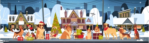 Group of Dogs in Santa Hats - Christmas Seasons/Holidays