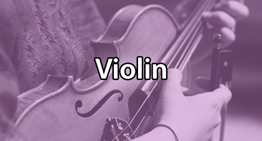 Violin