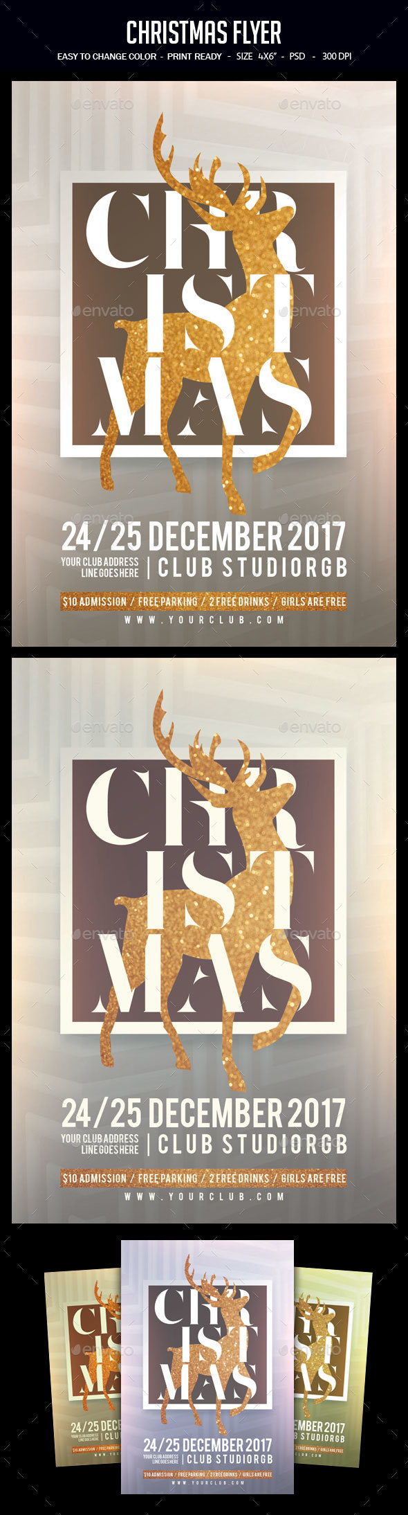 Christmas Flyer - Clubs & Parties Events