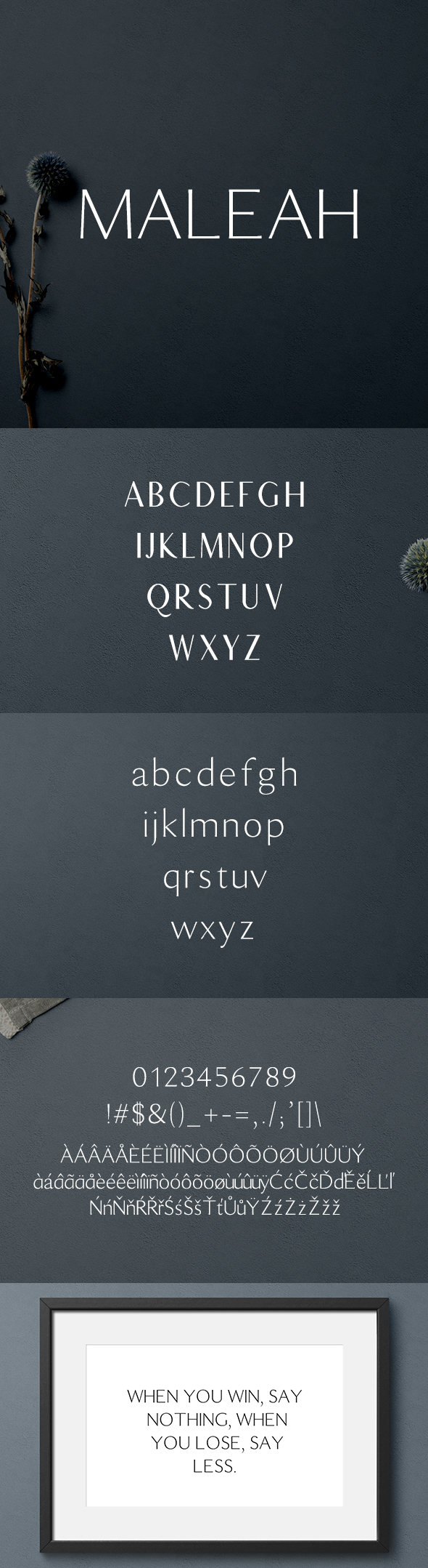 GraphicRiver Maleah Sans Serif 2 Font Family Pack 20917574 GraphicRiver Maleah Sans Serif 2 Font Family Pack 20917574
