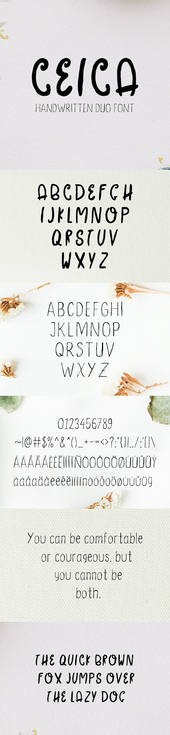 GraphicRiver Ceica Handwritten Duo Font 20917614 GraphicRiver Ceica Handwritten Duo Font 20917614