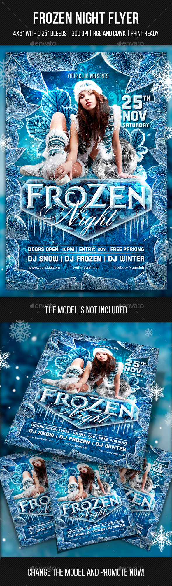 Frozen Night Flyer - Clubs & Parties Events
