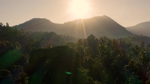 Moving Over Rainforest with a Mountain in the Background