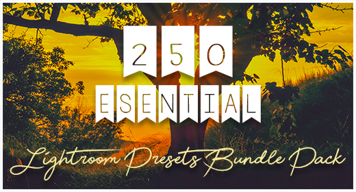 250 Essential Lightroom Presets Bundle Pack