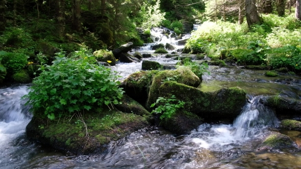 Beauty Stream on Mountain