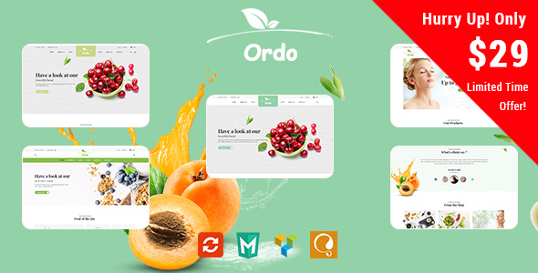 ThemeForest Ordo Organic Responsive WooCommerce WordPress Theme 20281431 ThemeForest Ordo Organic Responsive WooCommerce WordPress Theme 20281431