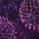 Firework - Concept of Finale of Any Holiday: Chinese New Year, New Year, Christmas, Wedding