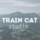 TrainCat