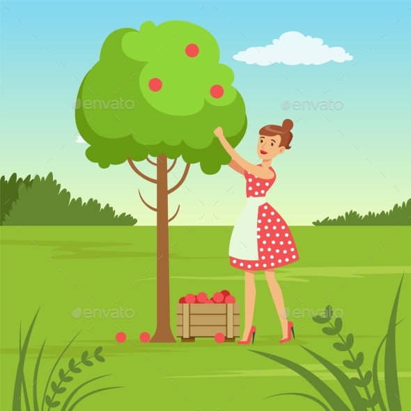 Flat Woman Character Collecting the Harvest - Miscellaneous Vectors