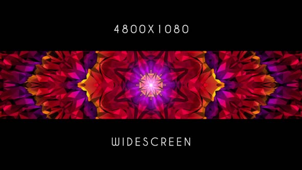Color Flower Widescreen