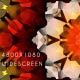 Fire Flower Widescreen - VideoHive Item for Sale