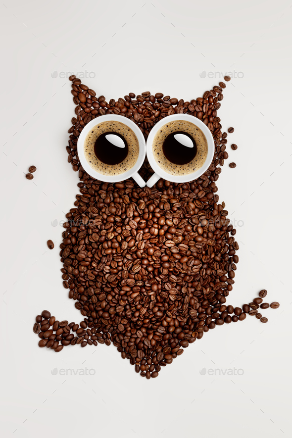 Coffee owl. - Stock Photo - Images