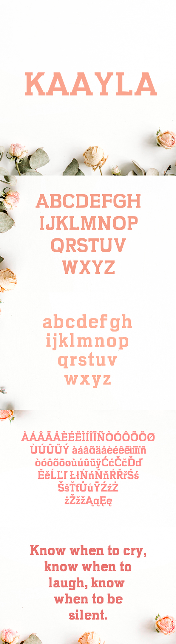 Kaayla Slab Serif 4 Font Pack - Sans-Serif Fonts