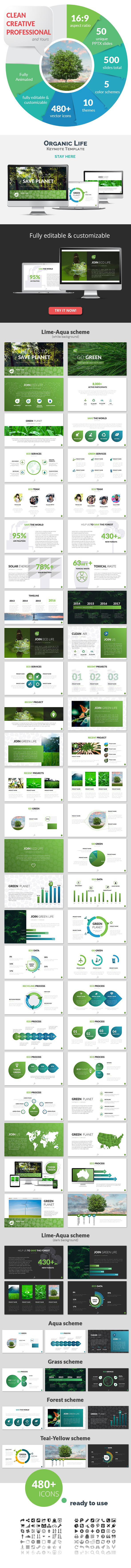 GraphicRiver Organic Life Keynote Presentation Template 20940845 GraphicRiver Organic Life Keynote Presentation Template 20940845