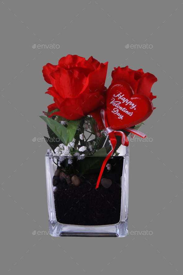 Red Roses Glass Pot isolated