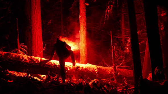 Man With Flare Hikes Through Forest In Snowfall, Stock Footage | VideoHive