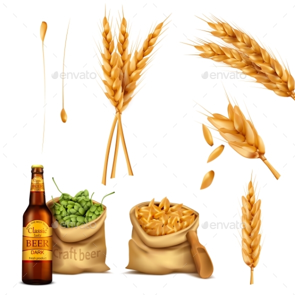 Vector Set Realistic Icons Concept of Brewing - Food Objects