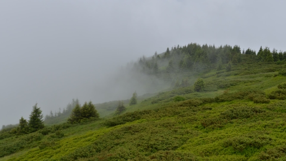 Fantastic Summer Landscape