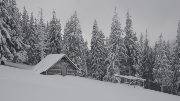 Fantastic Winter Landscape with Snowy Trees