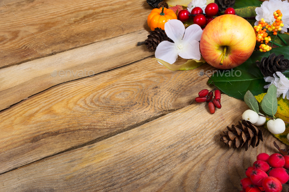 Thanksgiving background with apple, autumn leaves and white flow