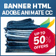 Online Shopping HTML5 Banner INTERACTIVE USER