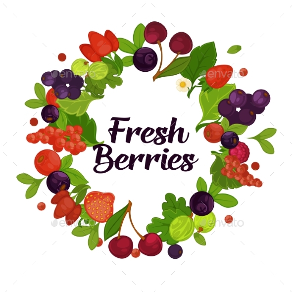 Fresh Organic Berries with Leaves in Circle - Food Objects