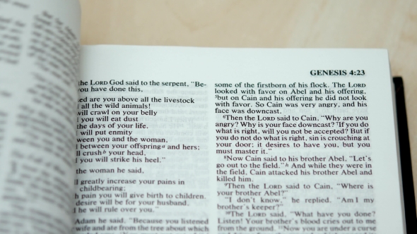 Sunday Reading Holy Bible Genesis alt