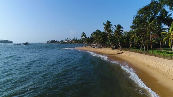 Aerial of Sandy Beach with Palm Trees, Which Is Washed By Sea on a Sunny Day in Sri Lanka