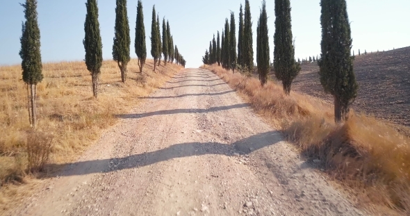On the Road of Val d'Orcia alt