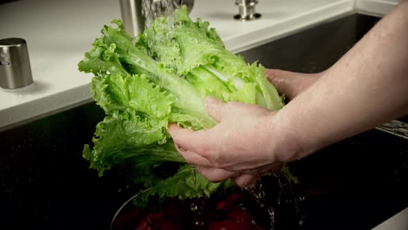 Close Up Of Lettuce Being Washed alt