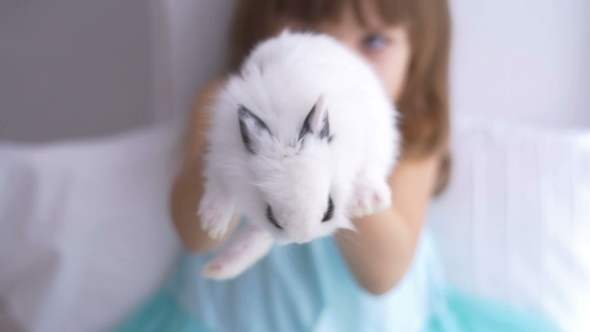 Pretty Teen Girl Having Fun, Hugging and Playing with Decorative Rabbit