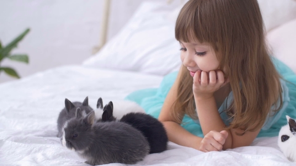 Pretty Teen Girl Having Fun, Hugging and Playing with Decorative Rabbit