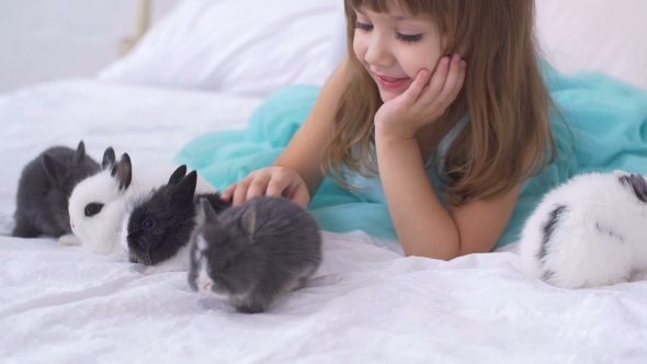 Pretty Teen Girl Having Fun, Hugging and Playing with Decorative Rabbit