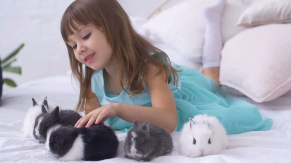 Pretty Teen Girl Having Fun, Hugging and Playing with Decorative Rabbit