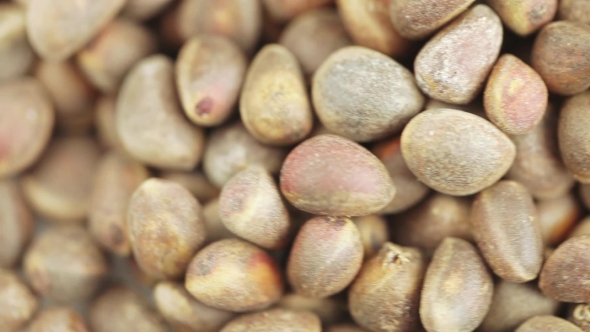 Pine Nuts in Bulks alt