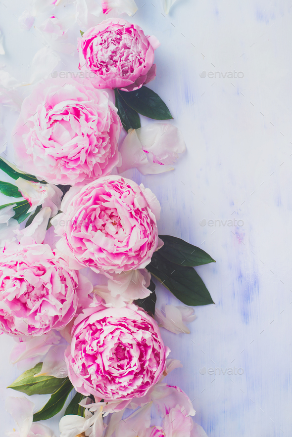 Minimal styled flatlay with peony flowers, petals and leaves on a pastel background with copy space