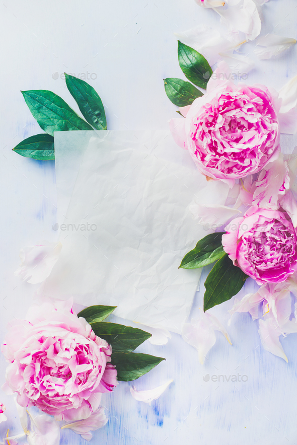 Minimal styled flatlay with pink peony flowers, petals, paper and leaves on a pastel background
