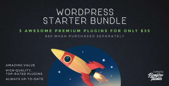 WordPress Starter Bundle