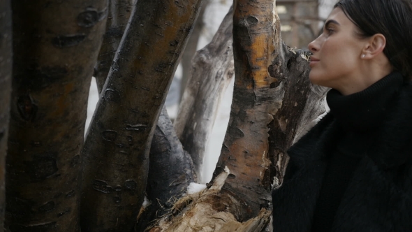 Woman in Black Coat Near Tree alt