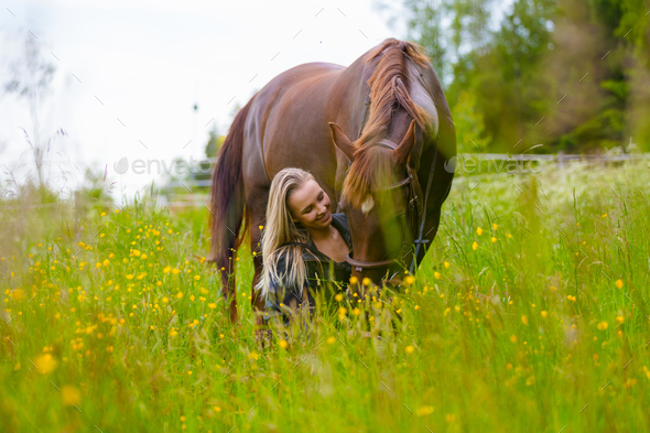 Beautiful woman feeding her arabian horse in the field - Stock Photo - Images