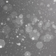 White Particles 4K - VideoHive Item for Sale